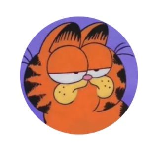 Meet your Posher, Anisa